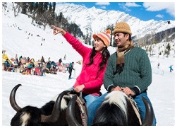 Shimla Honeymoon Tour Package