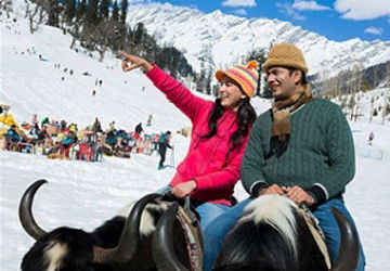 Manali Honeymoon Tour